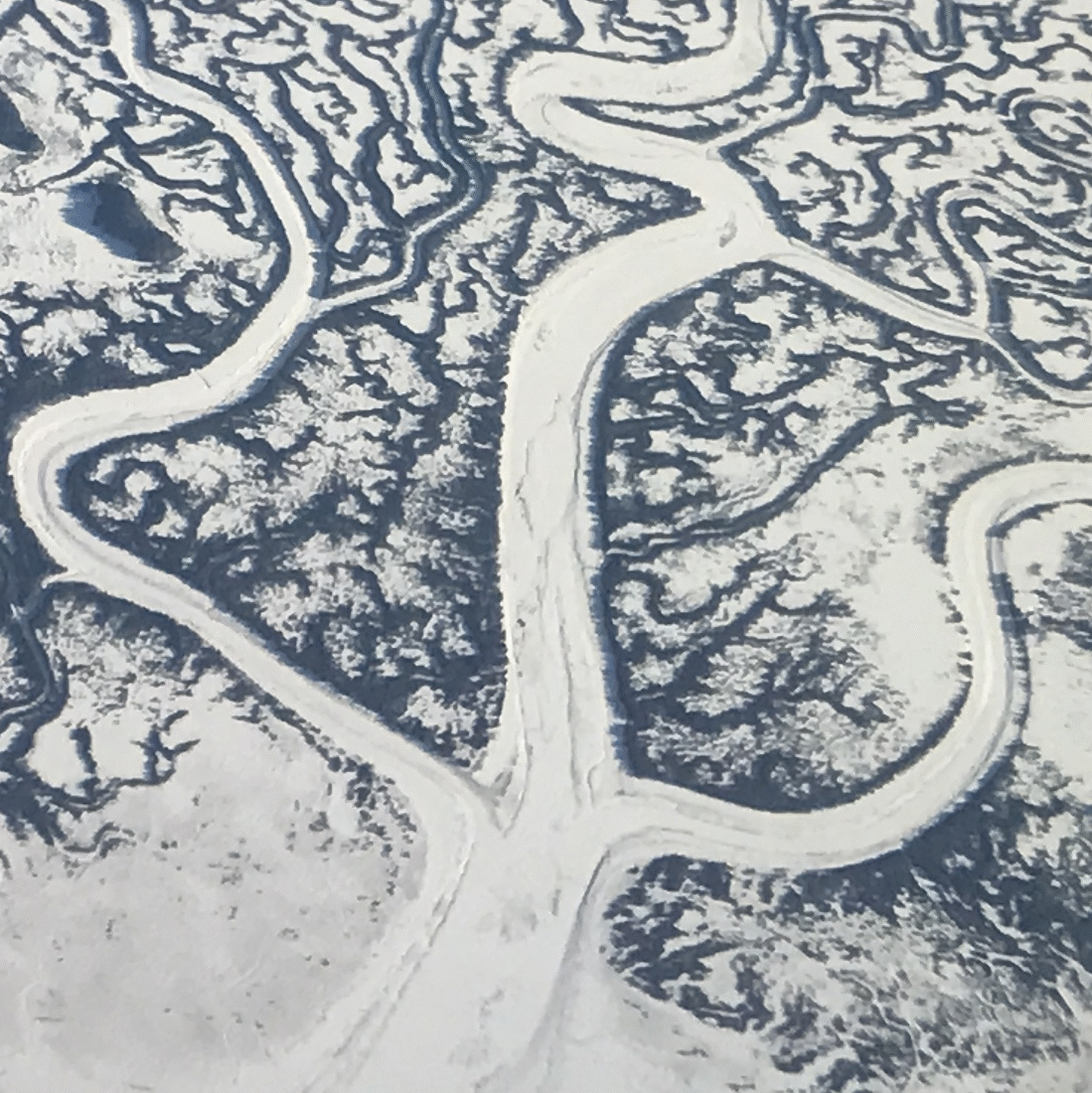 Natural Disasters, Science and the Role of Government